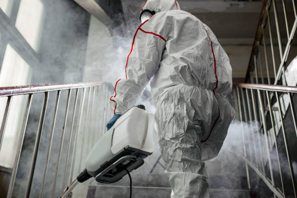 Best Biohazard Mold Removal  in Powell, TN